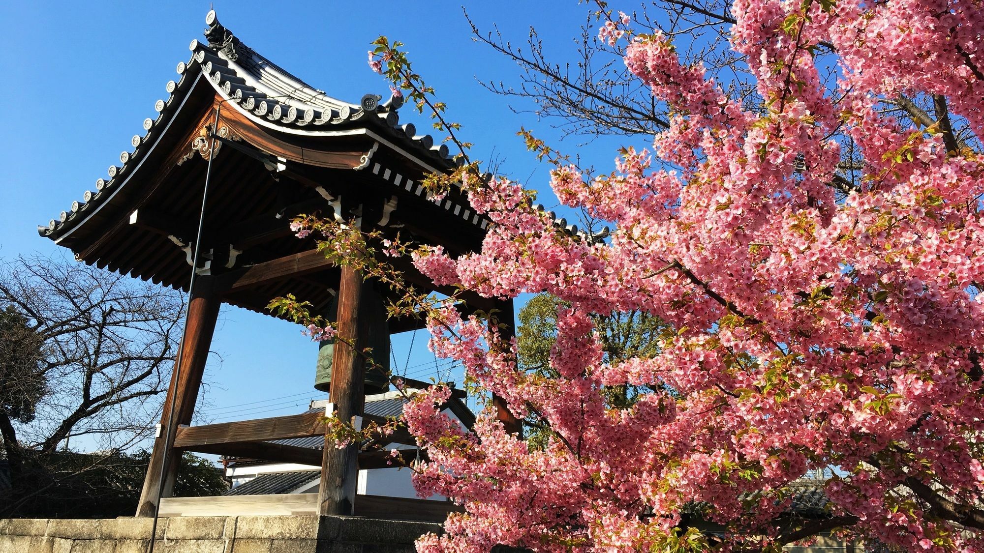 Stay Sakura Kyoto Toji West I Exteriör bild