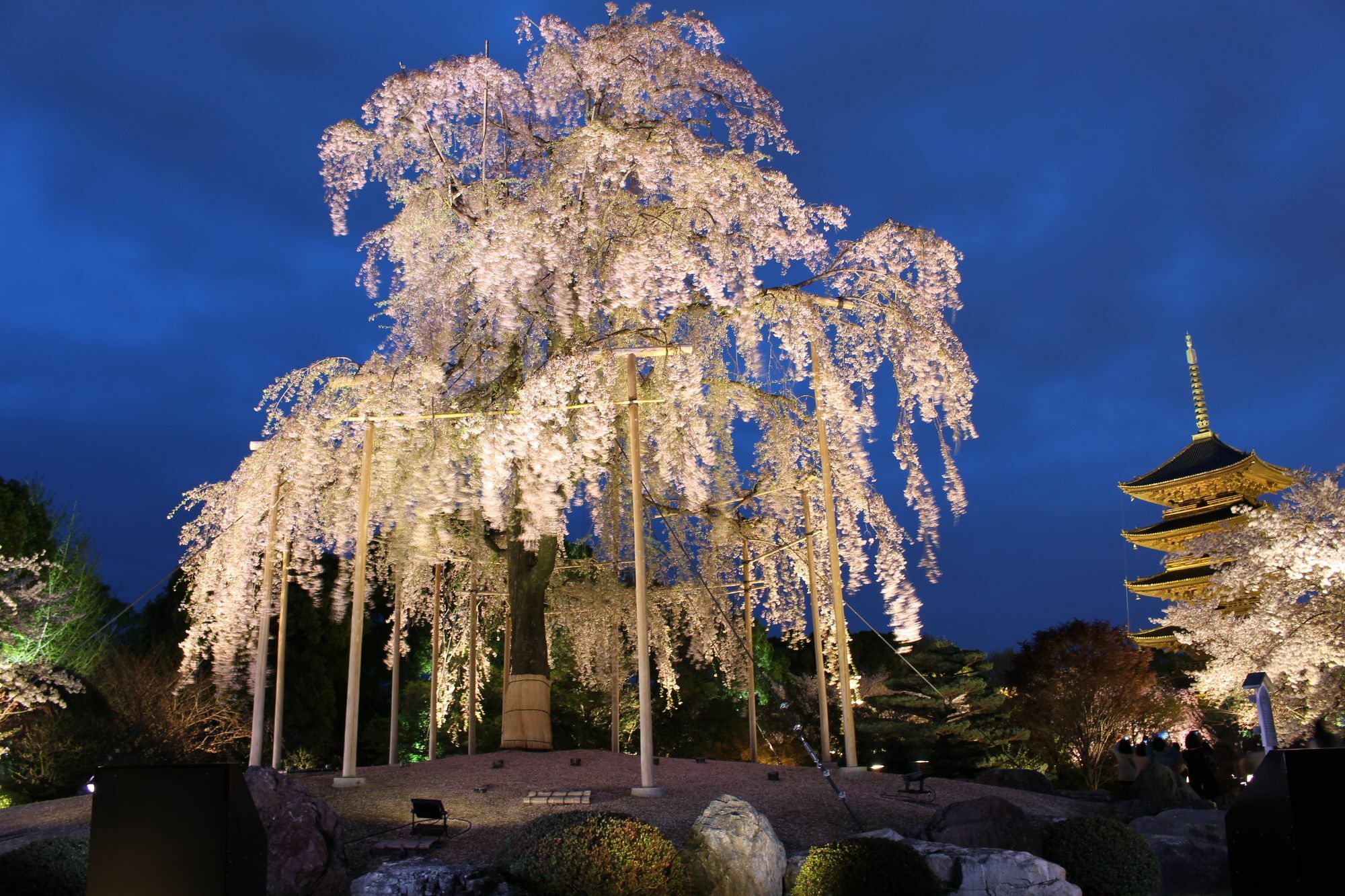 Stay Sakura Kyoto Toji West I Exteriör bild