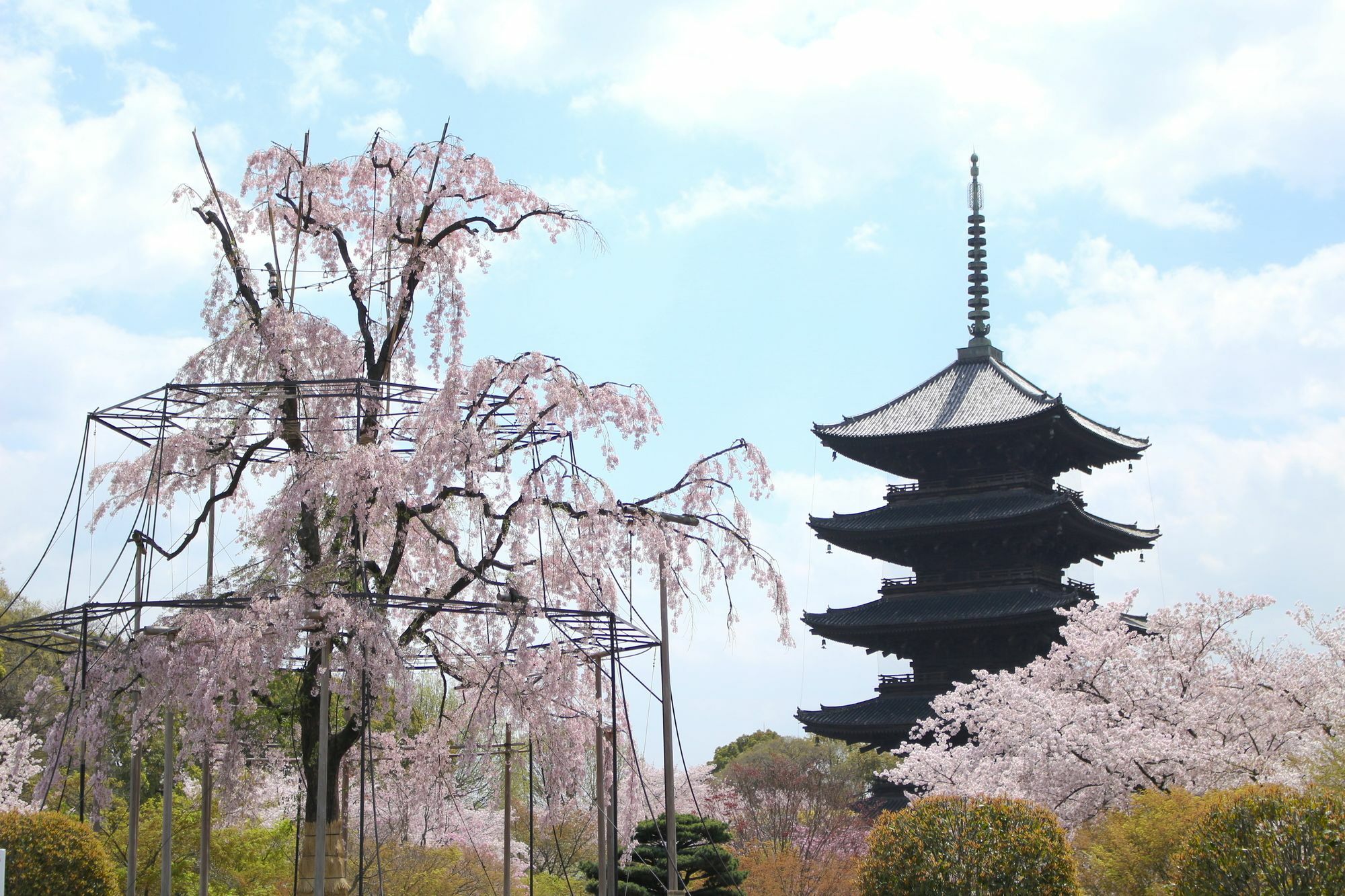 Stay Sakura Kyoto Toji West I Exteriör bild